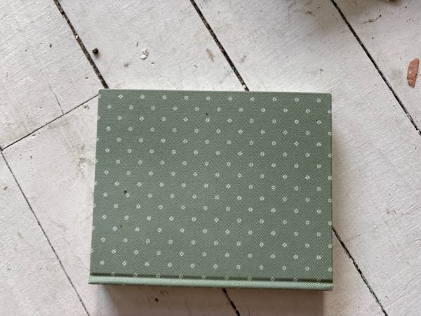 Polkadot Notebook